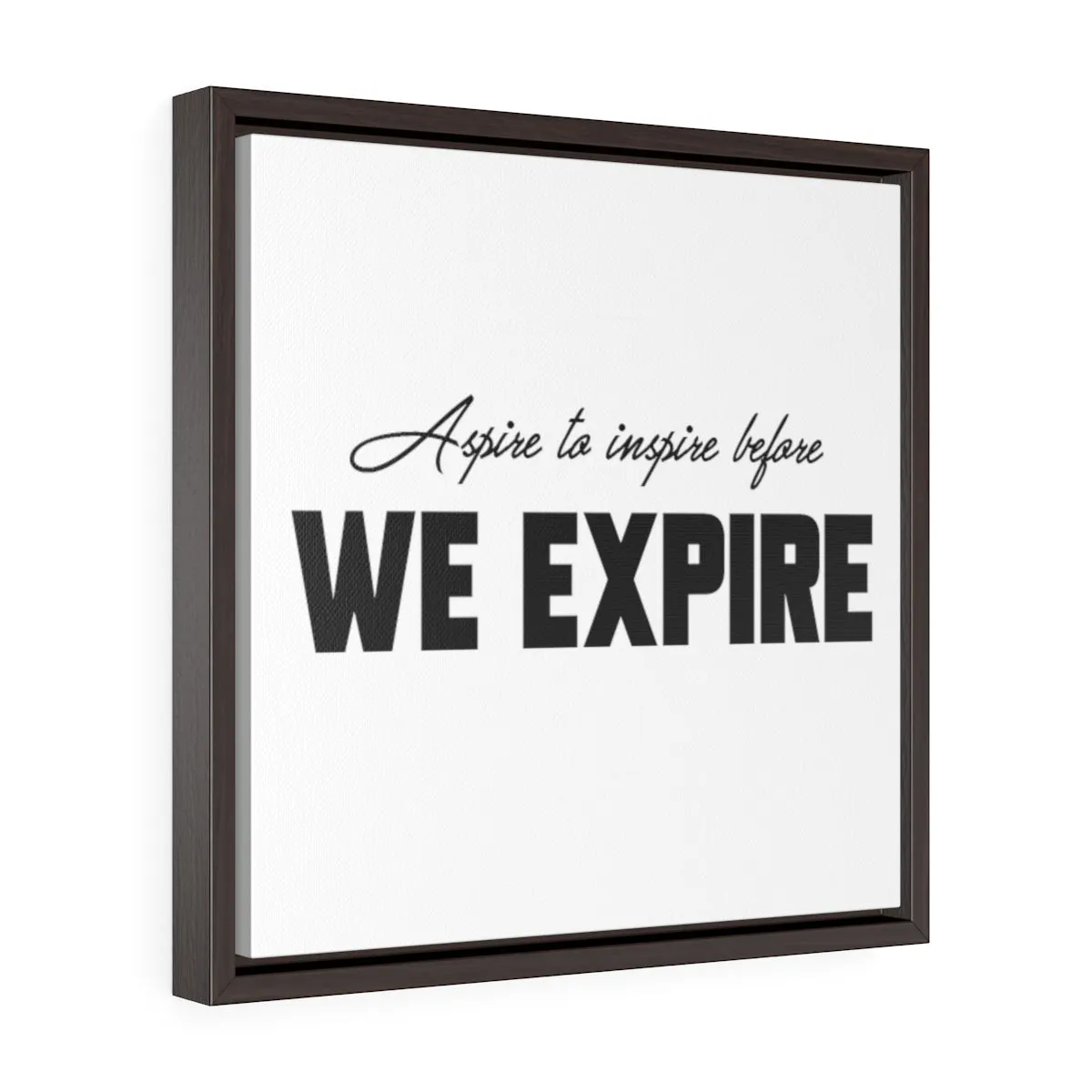 Aspire To Inspire Before We Expire | Framed Gallery Canvas