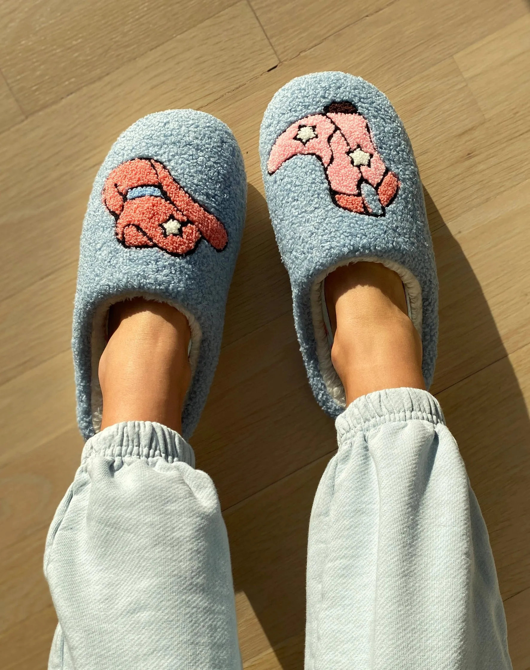 Blue Western Cowgirl Slippers