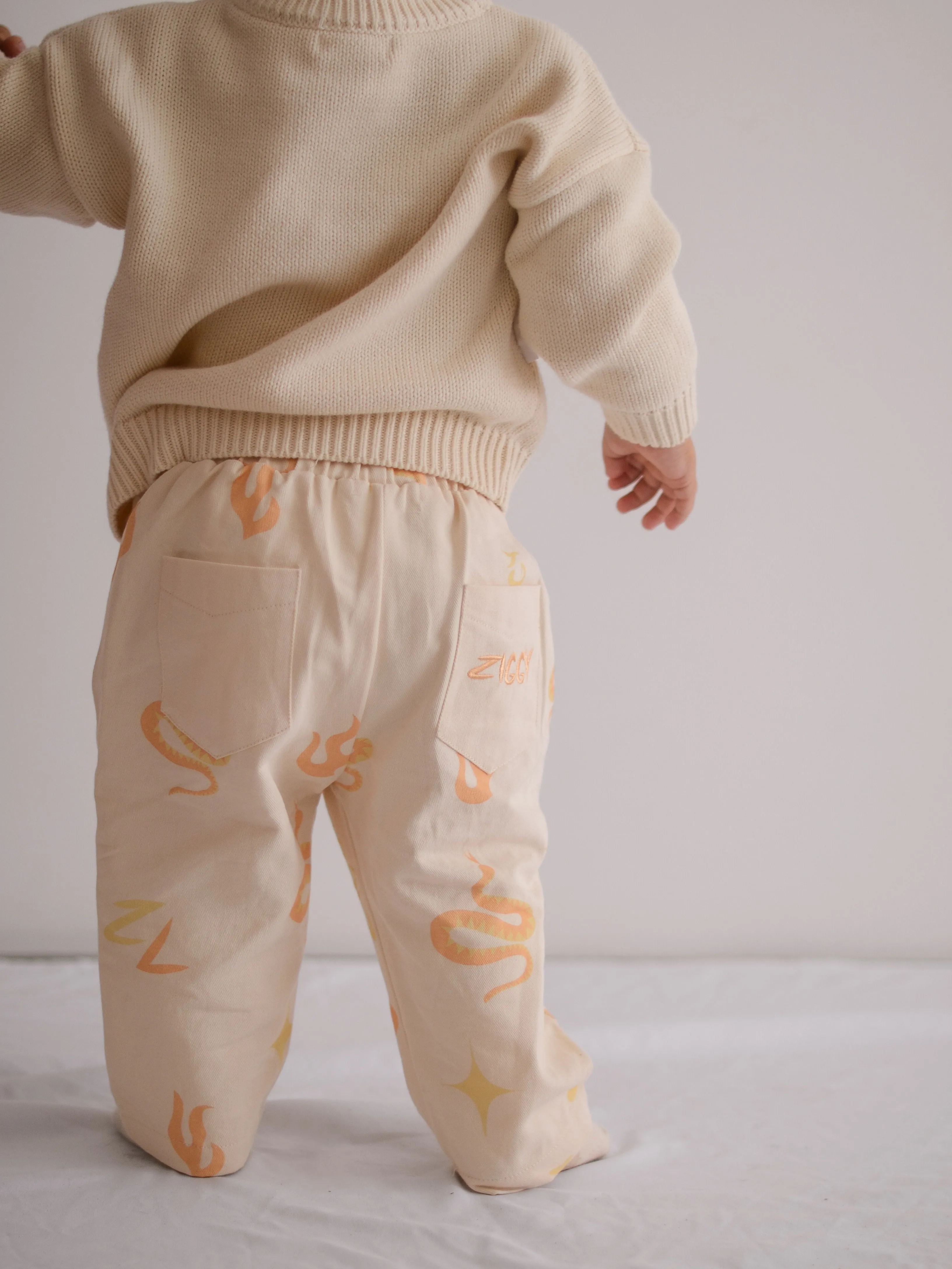 CANVAS PANTS | EMBER