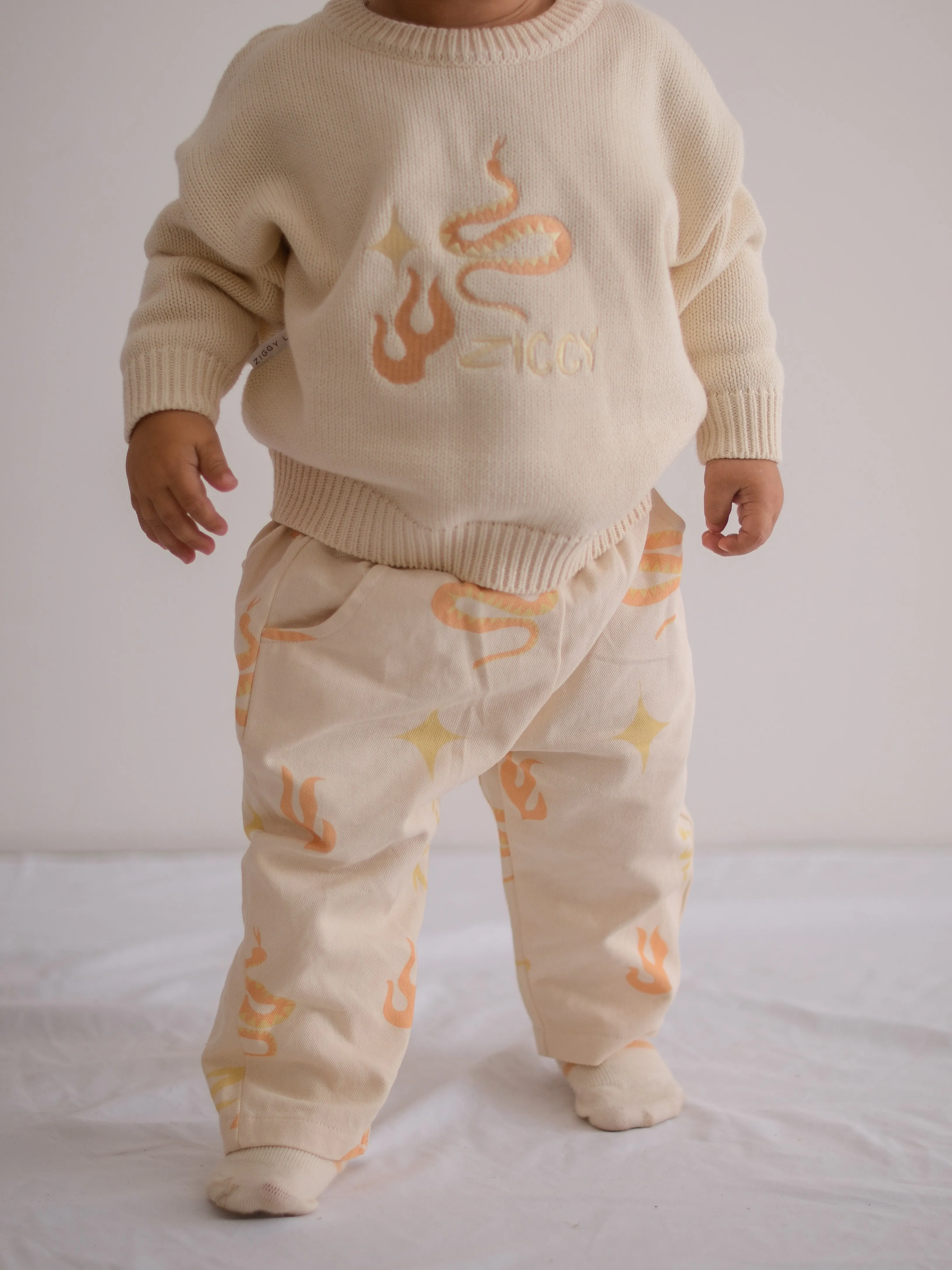 CANVAS PANTS | EMBER