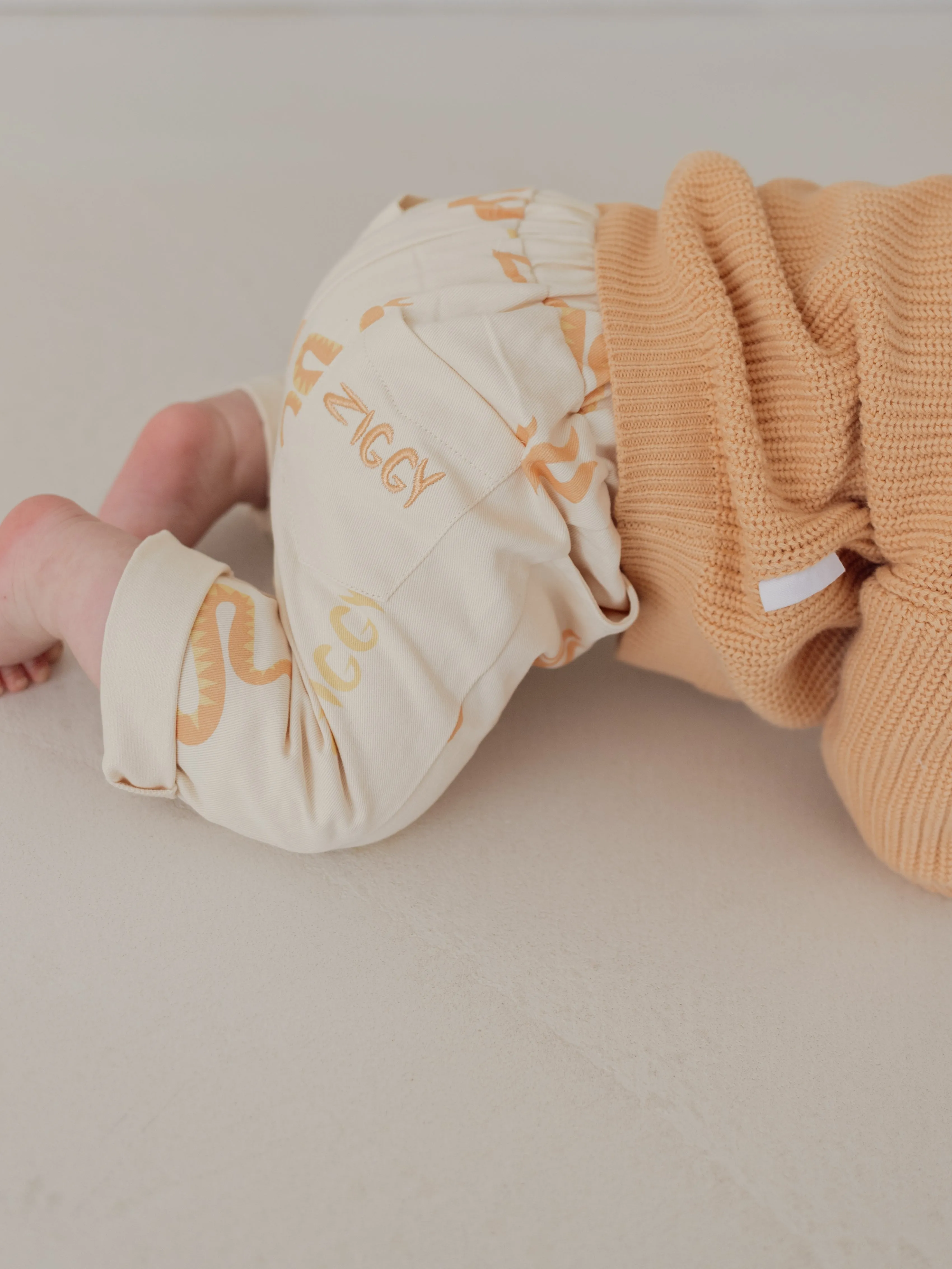CANVAS PANTS | EMBER