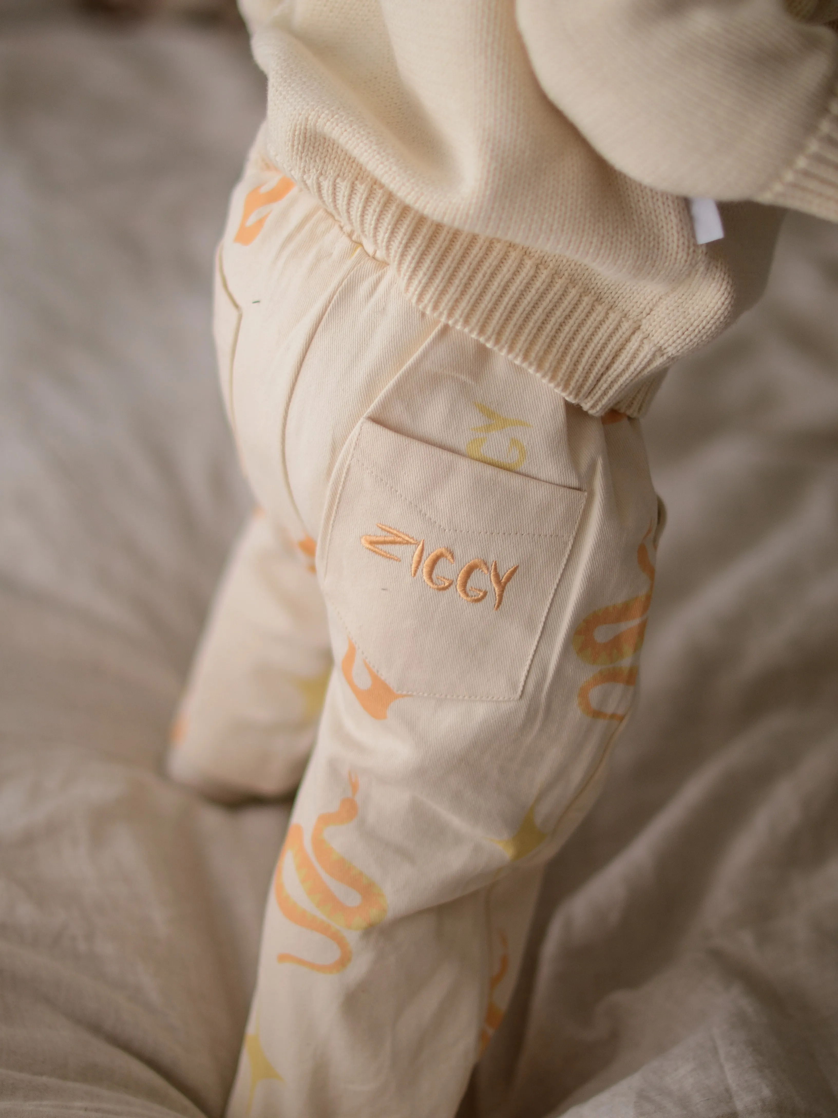 CANVAS PANTS | EMBER