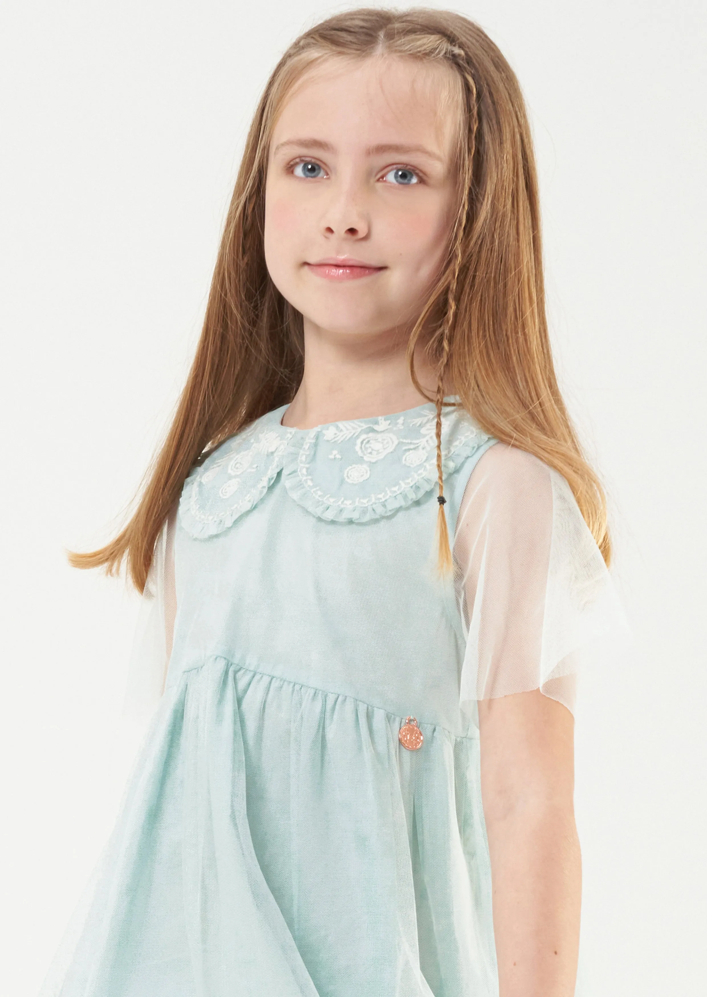 Daisy Embroidered Collar Mesh Dress