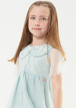 Daisy Embroidered Collar Mesh Dress