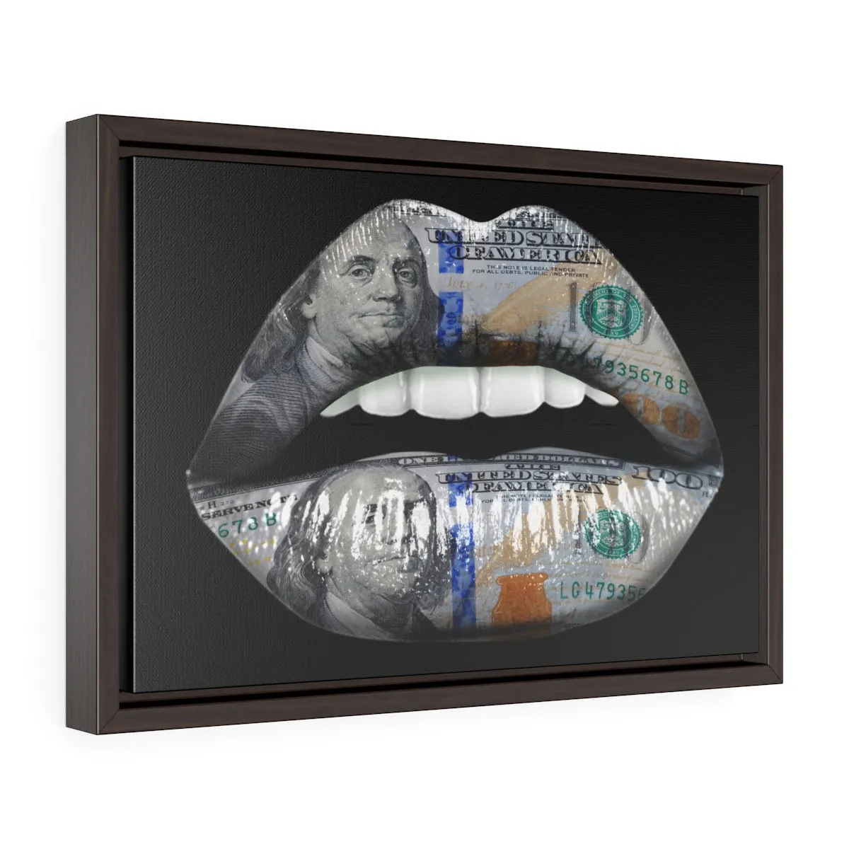 Dollar Lips | Framed Gallery Canvas