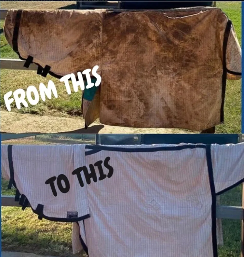 Dr Show Rug Wash