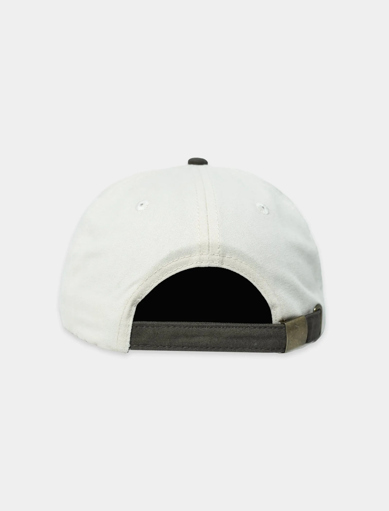 DUCK FACE 6 PANEL HAT