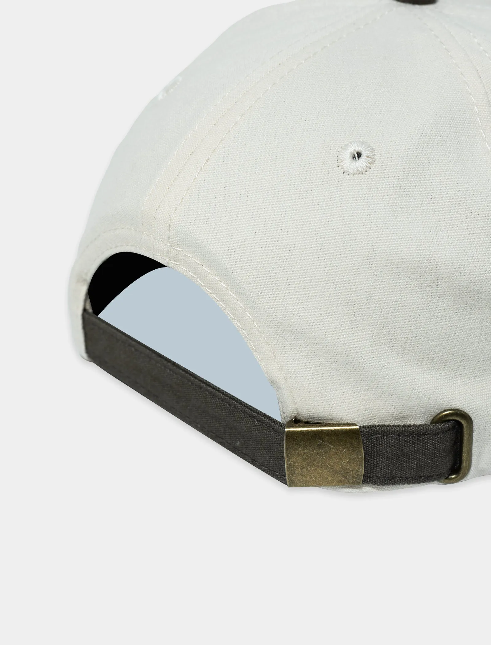 DUCK FACE 6 PANEL HAT