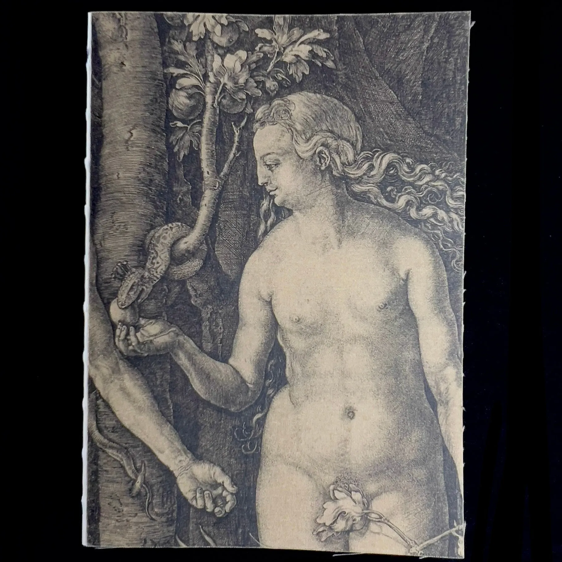 Eve Journal