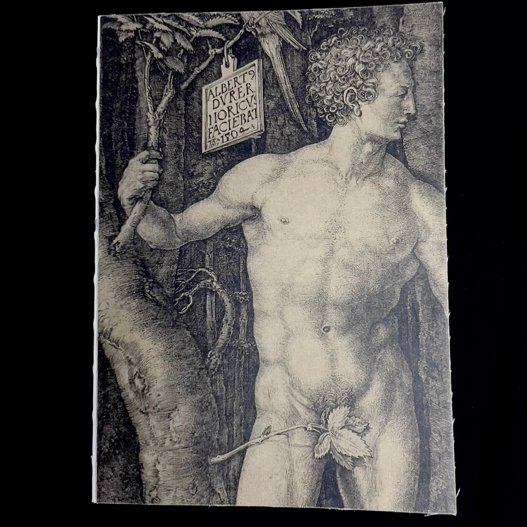 Eve Journal
