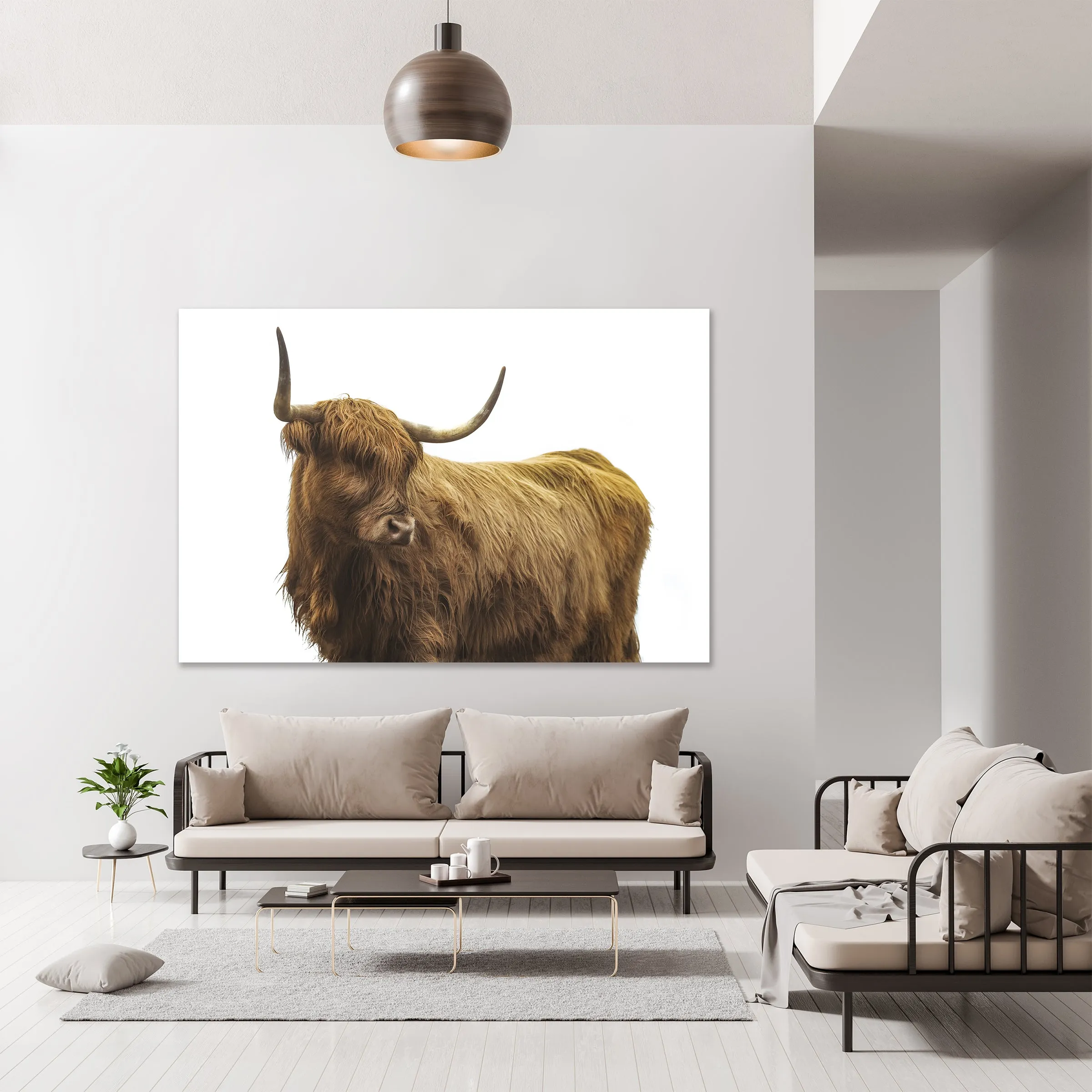 Highland Cattle II by Adam Mowery