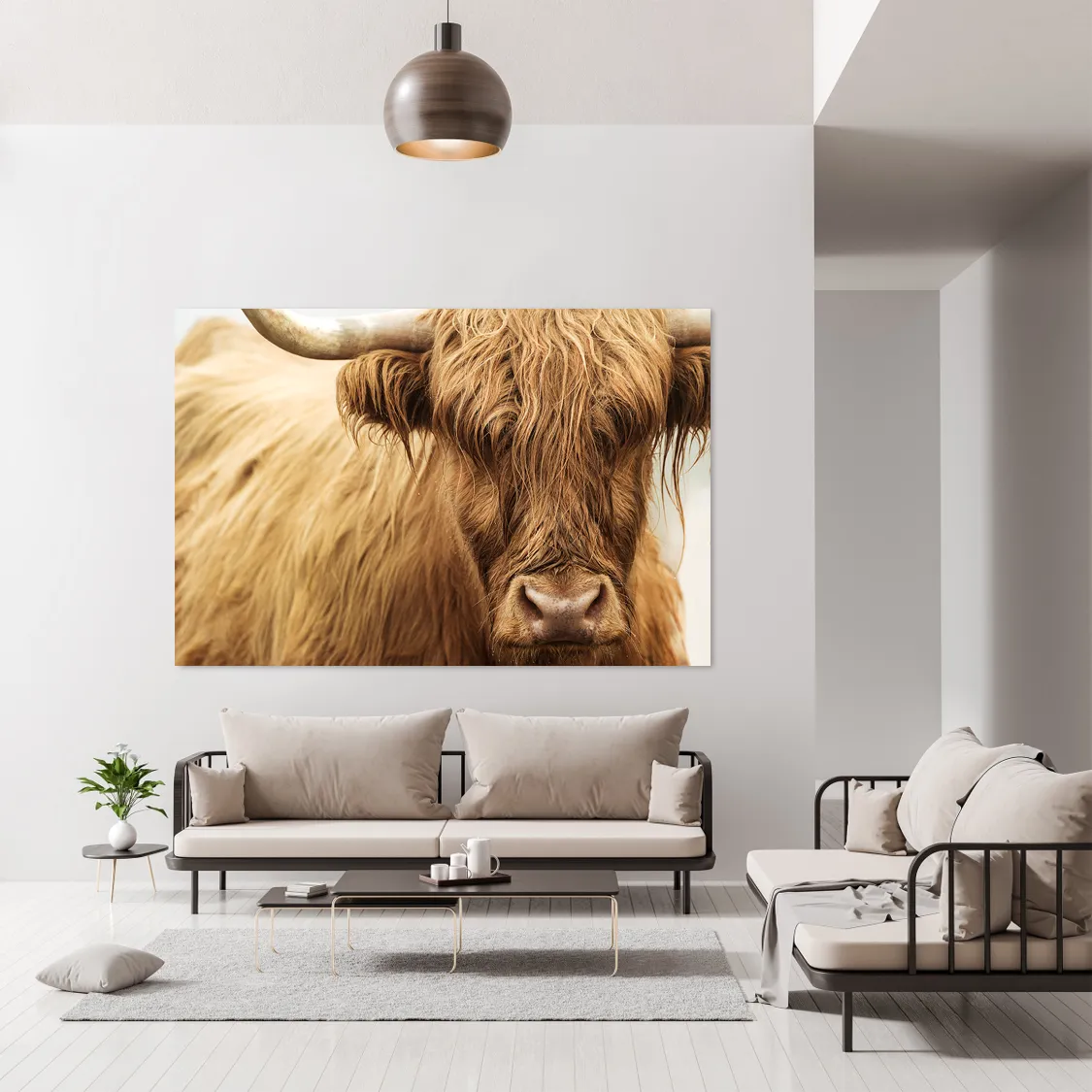 Highland Cattle III by Adam Mowery