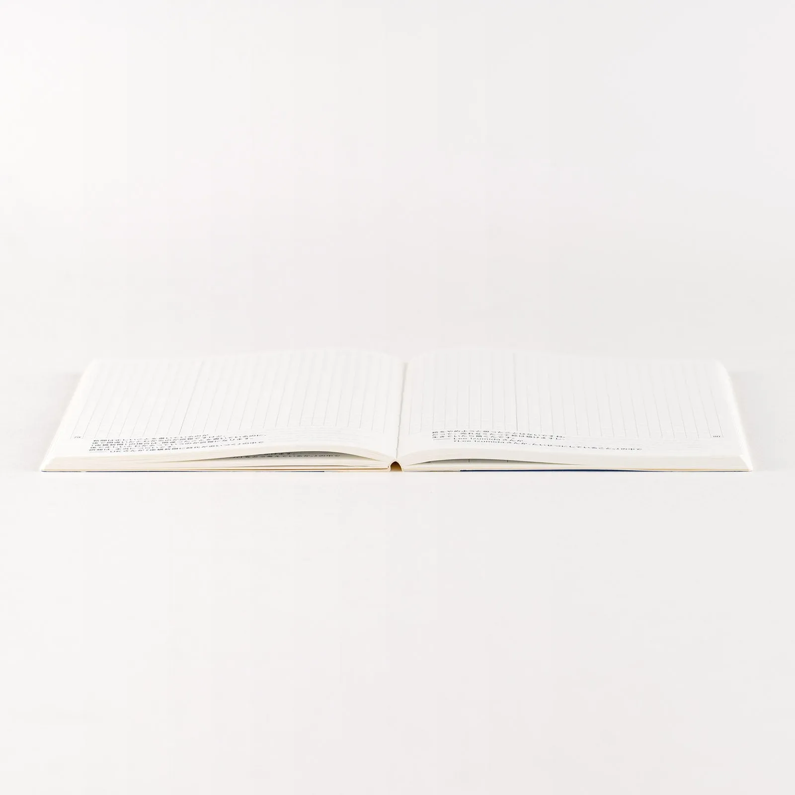 [Hobonichi 2025] Day-Free (2 sizes / Japanese)