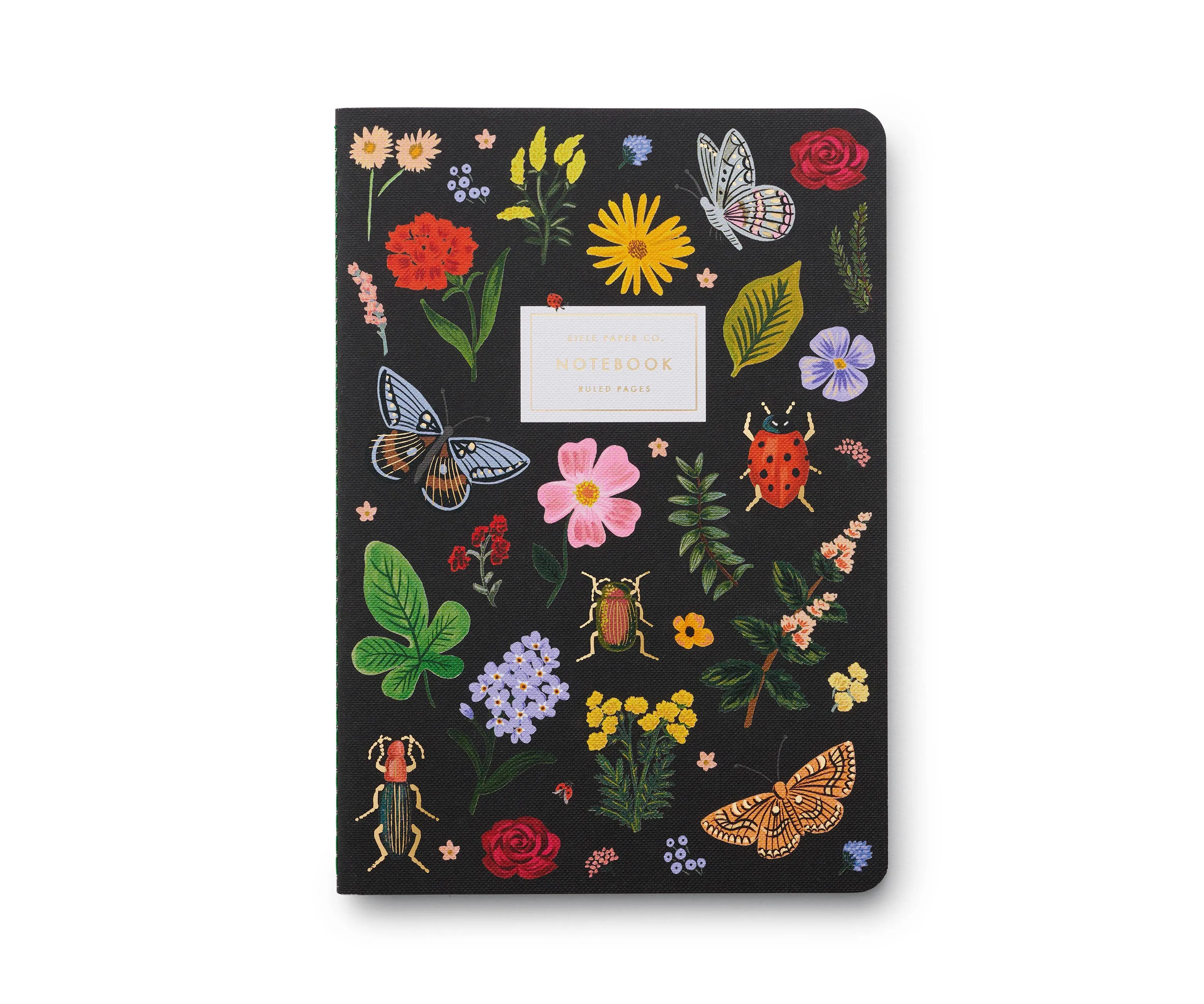 Notebooks, Curio Assorted Set/3