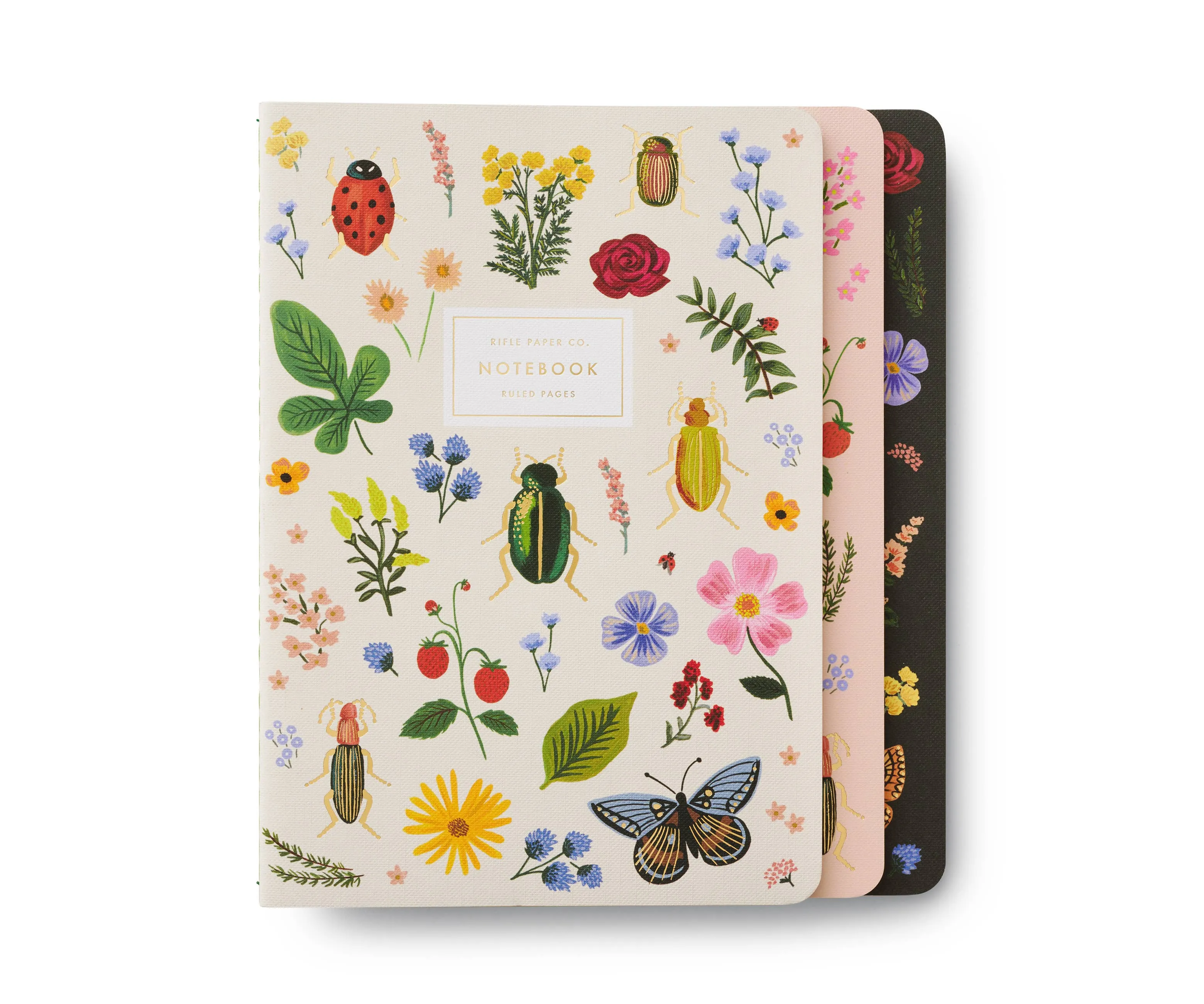 Notebooks, Curio Assorted Set/3