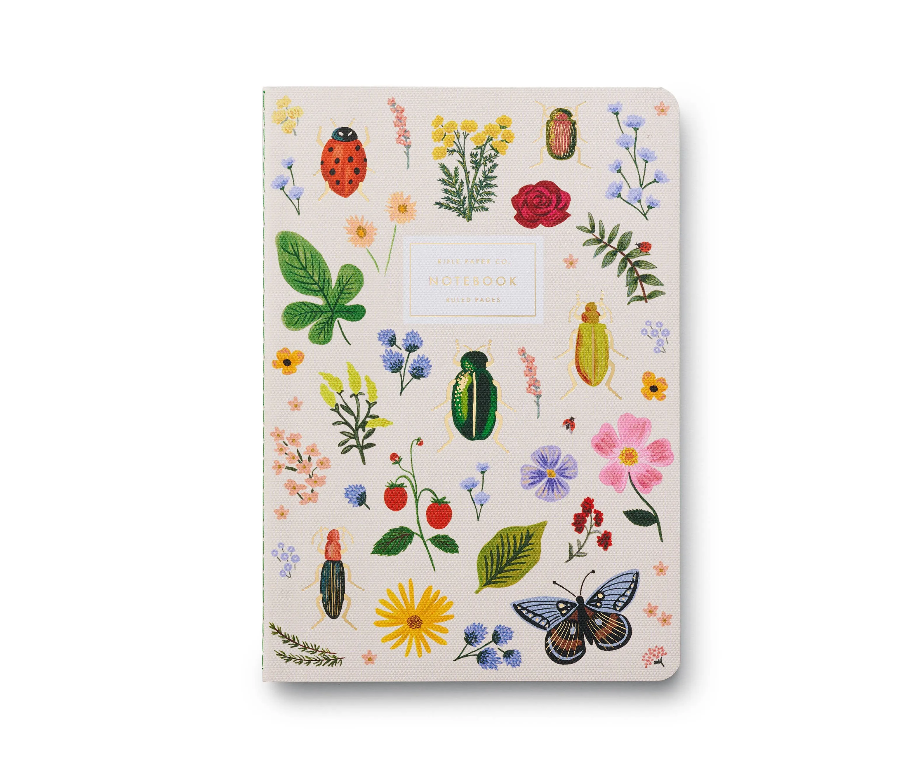 Notebooks, Curio Assorted Set/3