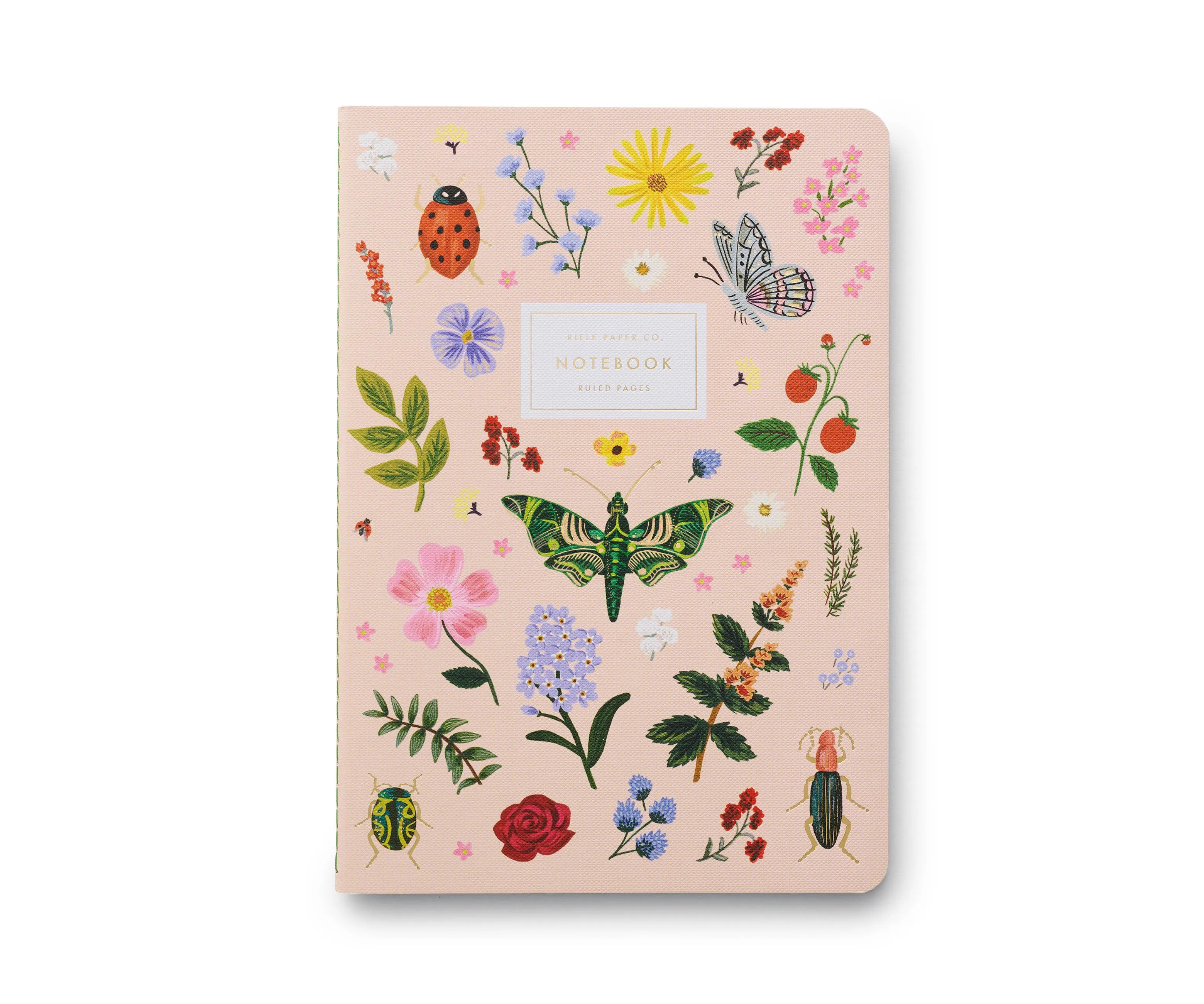 Notebooks, Curio Assorted Set/3