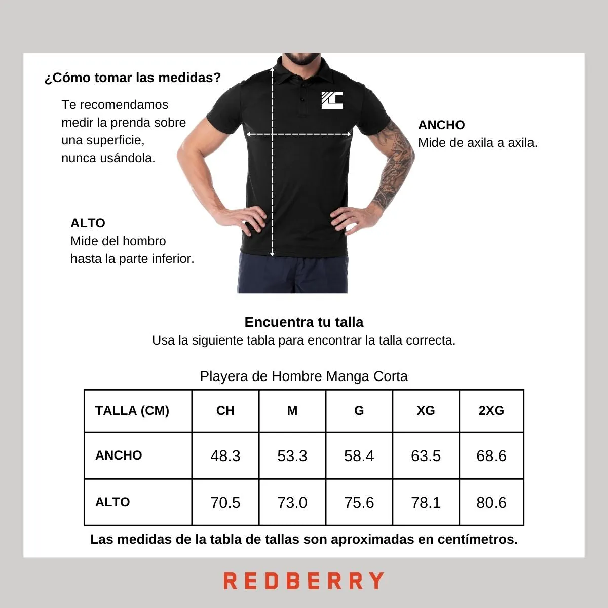 Playera Tipo Polo Hombre Ted Lapidus Paris TL