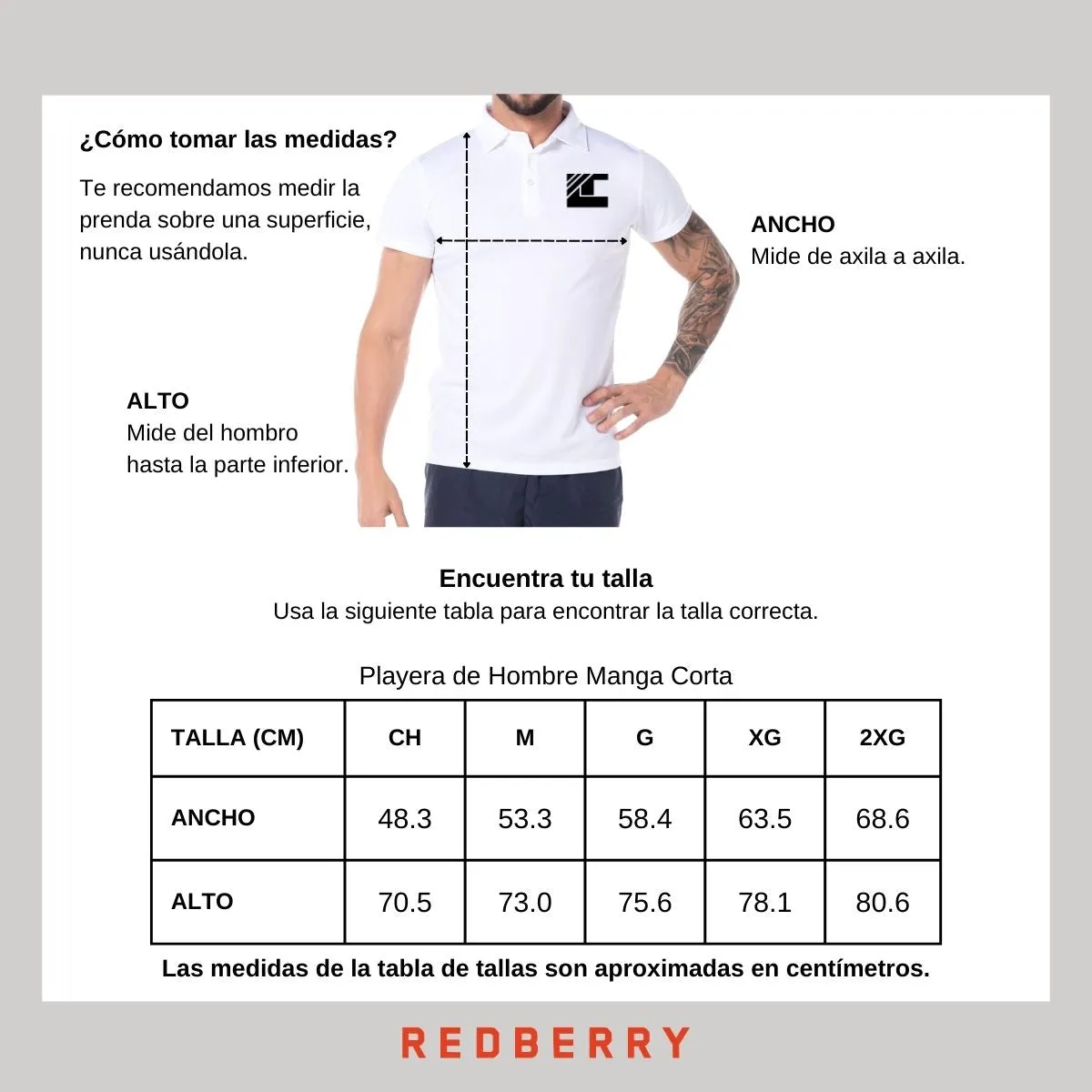 Playera Tipo Polo Hombre Ted Lapidus Paris TL
