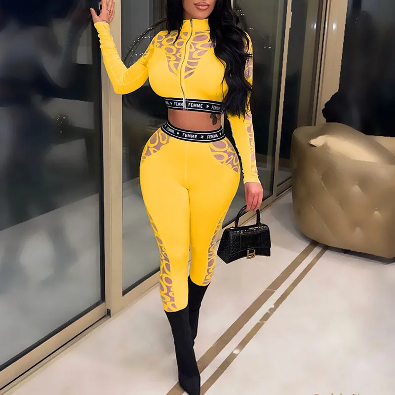 Print Sheer Mesh Long Sleeve Crop Top & Pants Set