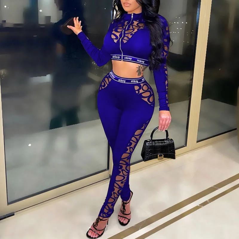 Print Sheer Mesh Long Sleeve Crop Top & Pants Set