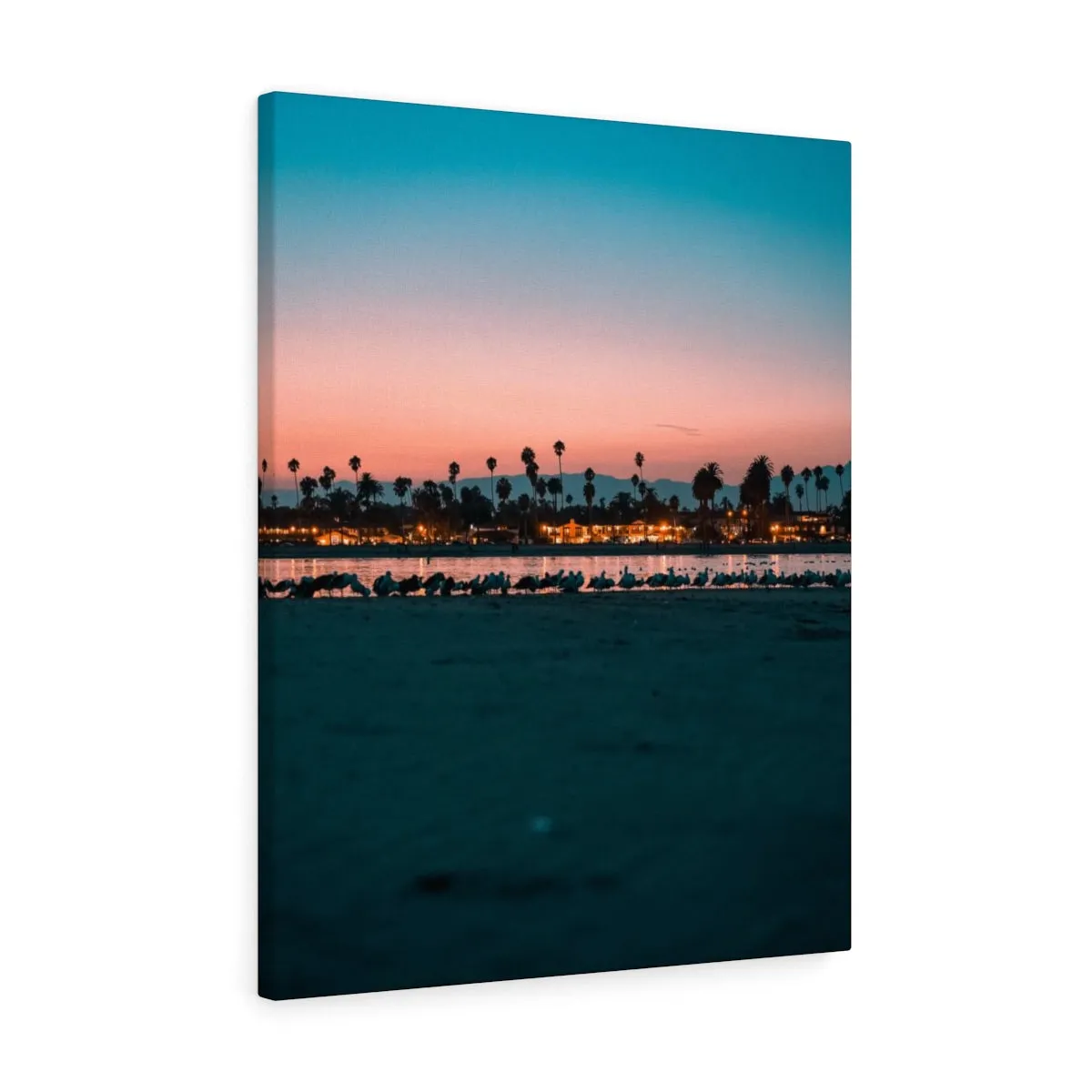 Santa Barbara Night View Premium Wall Canvas
