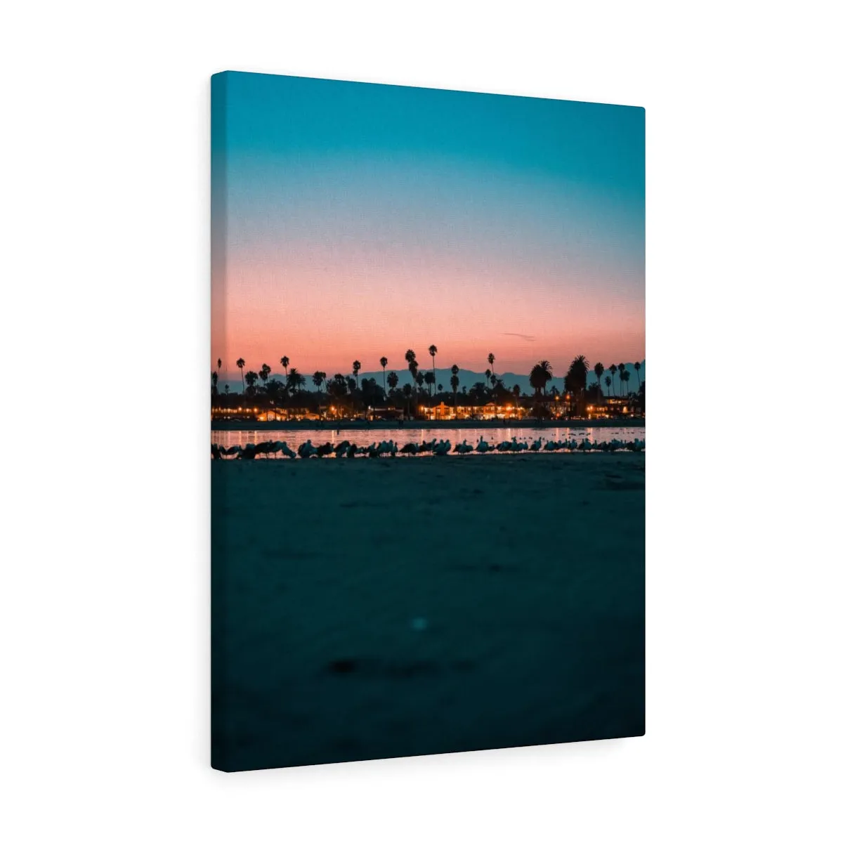 Santa Barbara Night View Premium Wall Canvas
