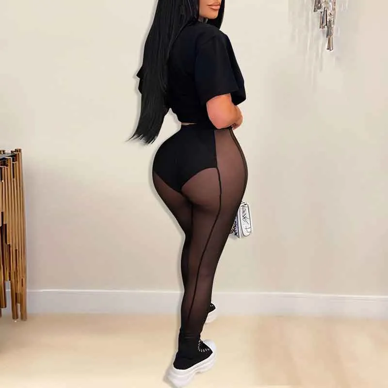 Solid Long Sleeve Crop Top & Sheer Mesh Pants Set