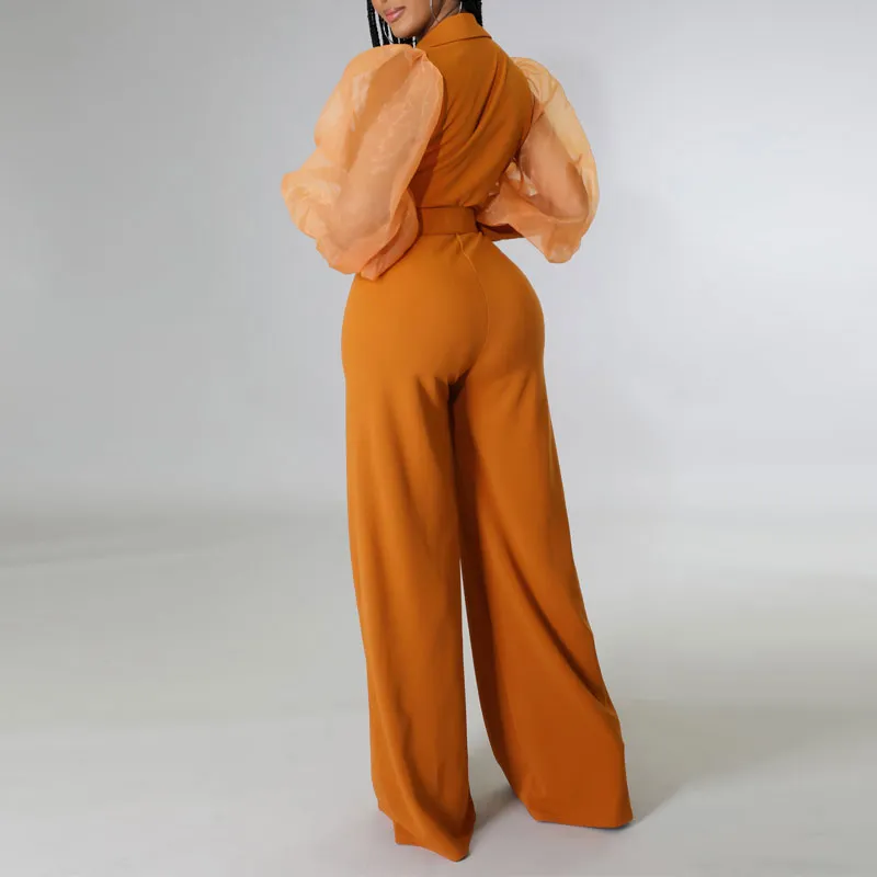 Solid V-Neck Lantern Sleeve Sheer Mesh Wide Leg Jumpsuit