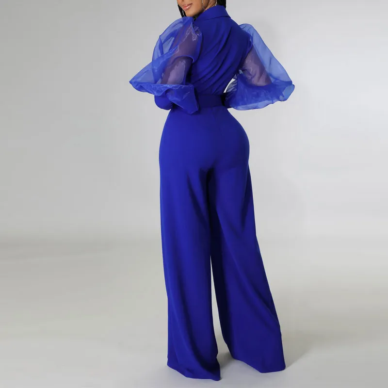 Solid V-Neck Lantern Sleeve Sheer Mesh Wide Leg Jumpsuit