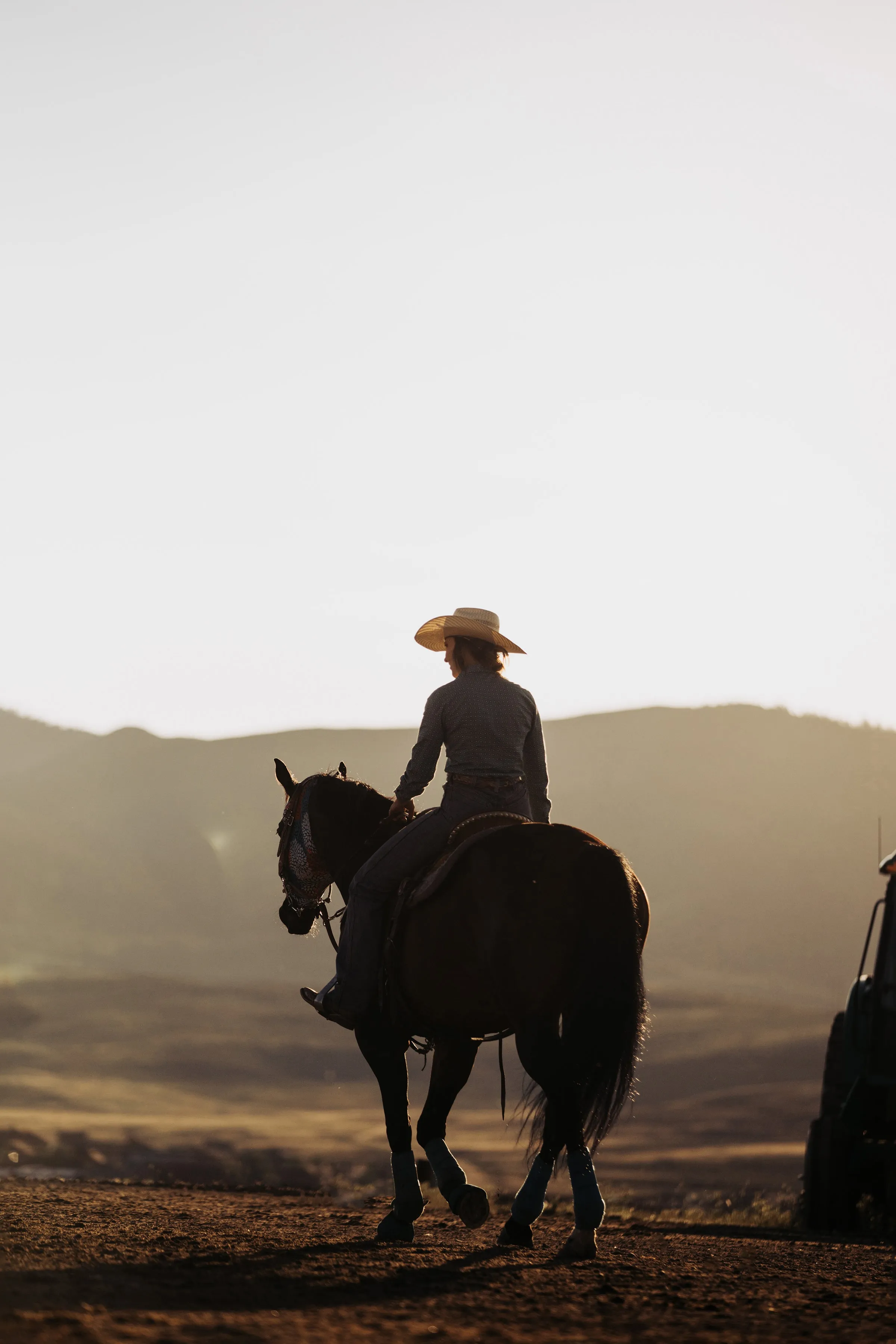 The Wanderer by Addison Jones