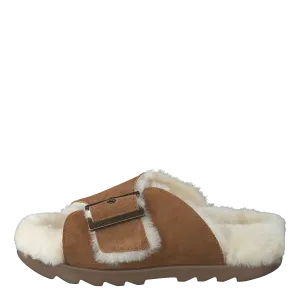 W Outslide Buckle Chestnut Suede