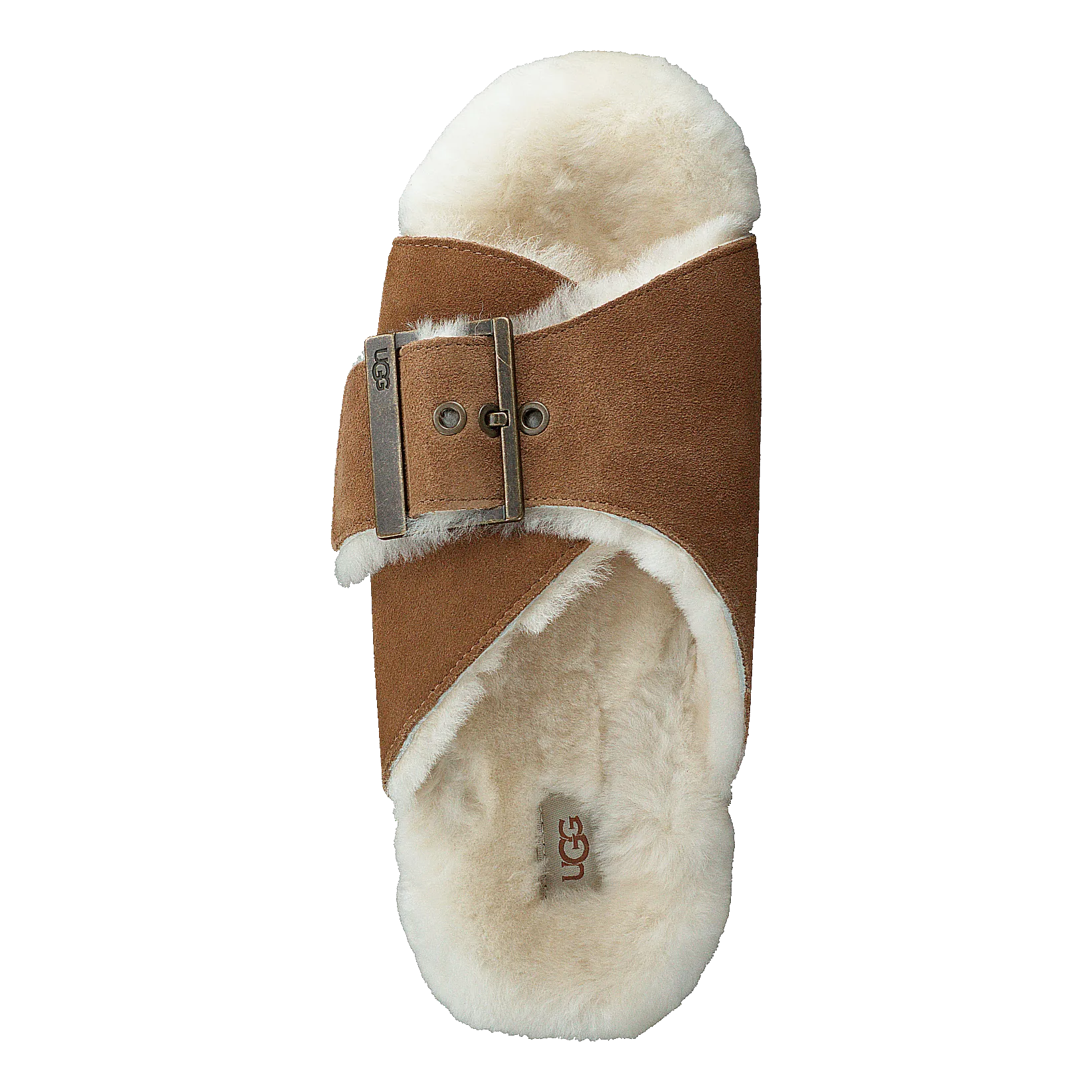 W Outslide Buckle Chestnut Suede