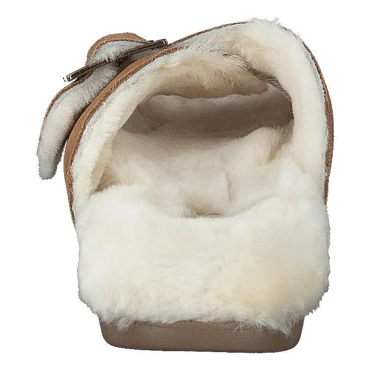 W Outslide Buckle Chestnut Suede