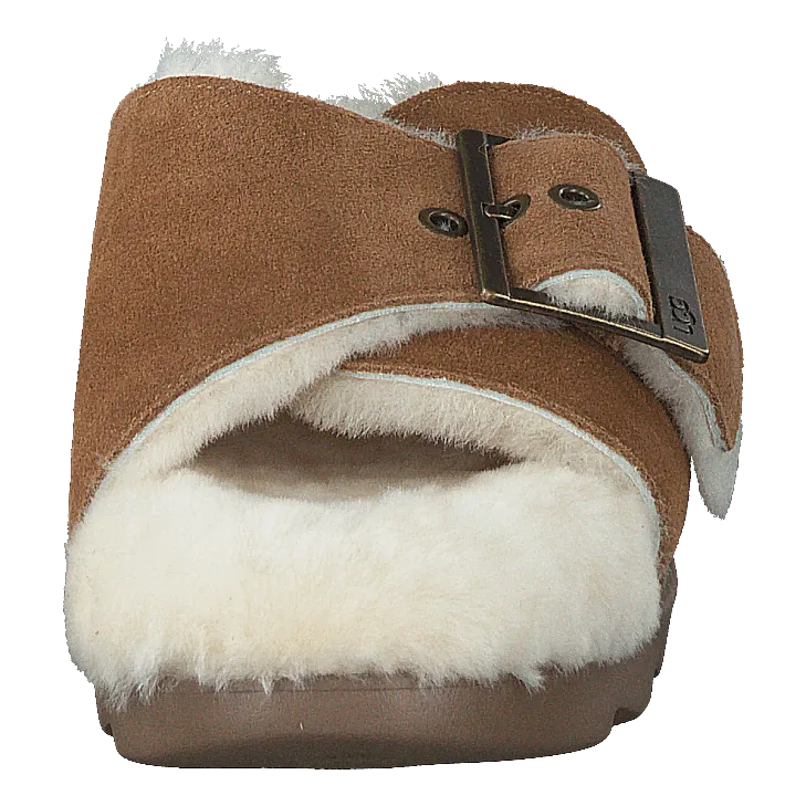 W Outslide Buckle Chestnut Suede