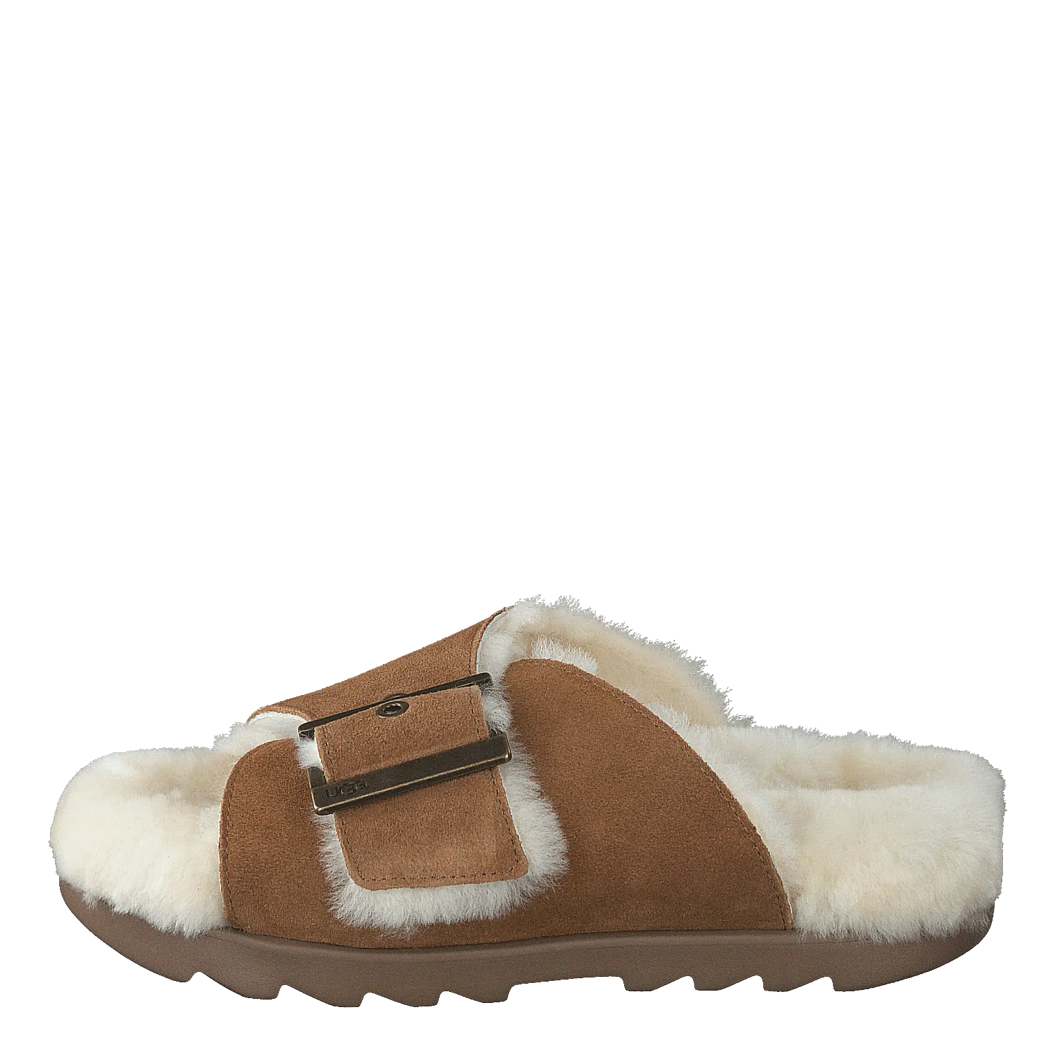 W Outslide Buckle Chestnut Suede