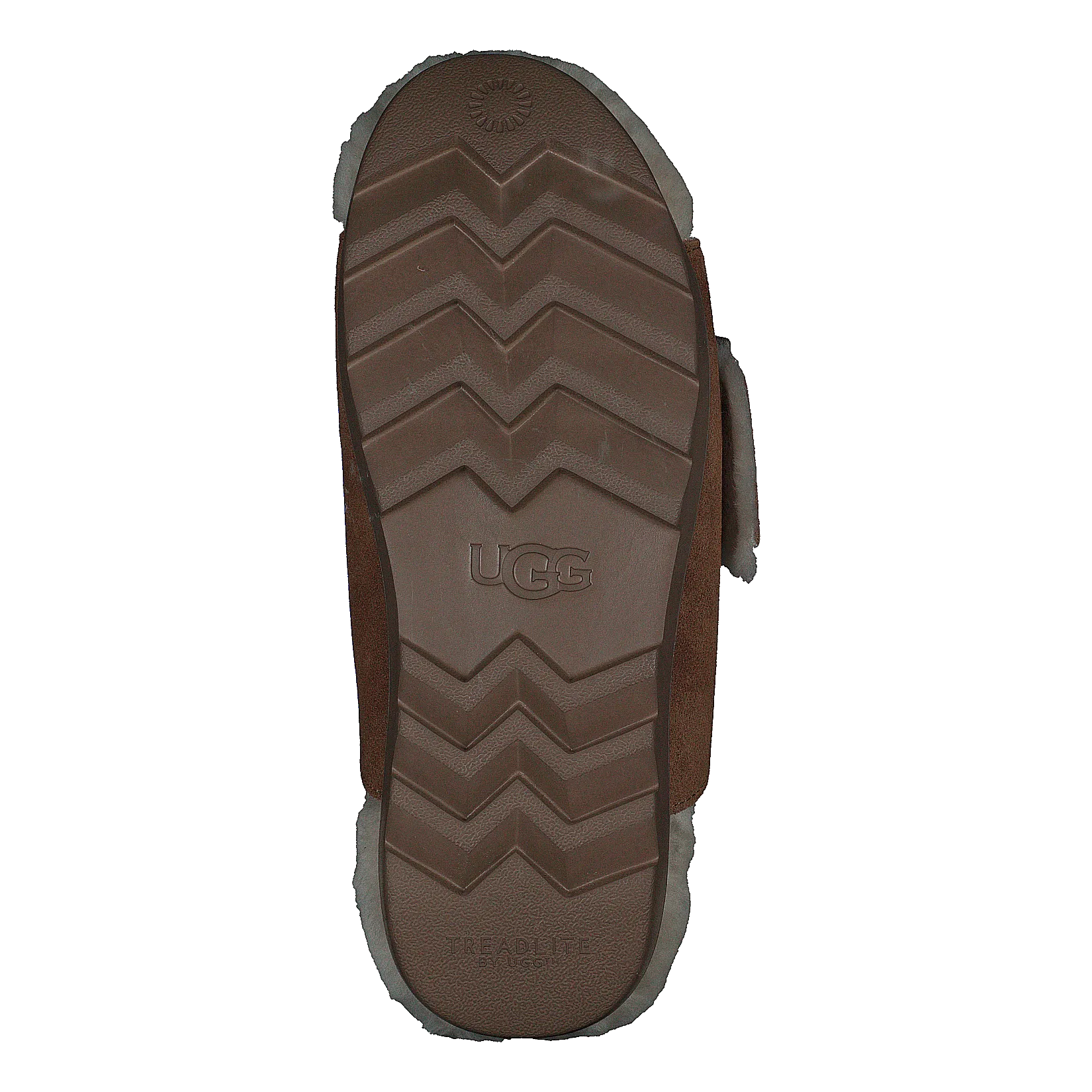 W Outslide Buckle Chestnut Suede